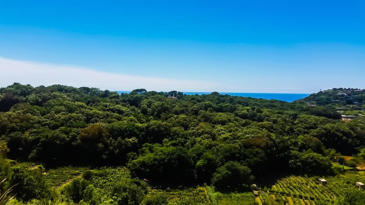 Appartamenti Luongo Forio di Ischia Eksteriør billede